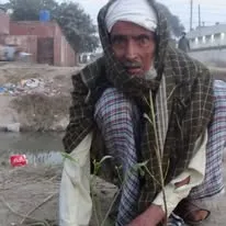 Green Seekers Activity